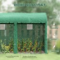 Terasest fooliumkasvuhoone ukse ja aknaga, 300 × 100 × 200 cm, roheline