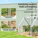 Terasest kilekasvuhoone tõmblukuga aknaga, 360 × 90 × 90 cm, läbipaistev