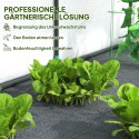 Seinale paigaldatav kasvuhoone plastkattega, 300 × 80 × 157 cm, valge