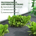 Seinale paigaldatav kasvuhoone plastkattega, 300 × 80 × 157 cm, valge