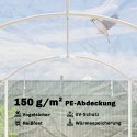 Läbipaistev polütunnelkasvuhoone tsingitud terasraami ja UV-kindla PE-kattega