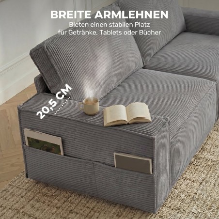 3-kohaline diivan 218 cm, velveti, taskuvedrustuse ja 2 padjaga, helehall