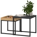 Kandiline 2-osaline diivanilaudade komplekt MDF-ist ja metallist, must