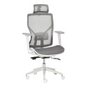 Ergonoomiline kontoritool peatoe ja nimmetoega, hall