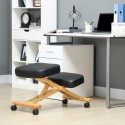Ergonoomiline ratastega põlvetool koju ja kontorisse