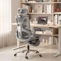 Ergonoomiline võrk-kontoritool eraldi seljatoe ja 4D-käetugedega, hall