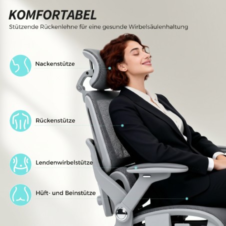 Ergonoomiline võrk-kontoritool eraldi seljatoe ja 4D-käetugedega, hall
