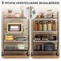 Hõbedane 4-tasandiline reguleeritavate riiulitega köögikäru 60 × 35 × 100 cm