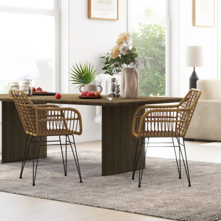 2 Boho stiilis köögitooli PE-rotangist, 56 × 60 × 79 cm, naturaalne-must