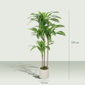 Kunstlik 120 cm draakonipuu painduvate tüvede ja valge potiga