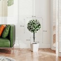 Kunstroosipuude komplekt, 2 tk, UV-kindlad, 55 cm, valge