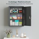 Seinale paigaldatav lukustatav terasest ravimikapp 40 × 15 × 53,5 cm