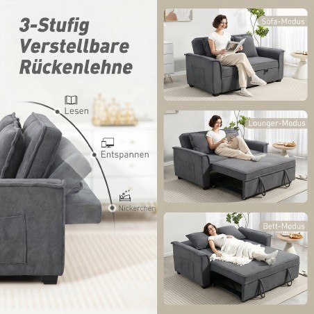 Tumehall 2-kohaline futon-diivanvoodi reguleeritava seljatoe ja 2 padjaga