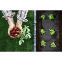 Agro geotekstiil 1,6 m x 50 m 90 g/m2 + 10... | FreshDesign.ee