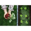 Agro geotekstiil 1,6 m x 50 m 90 g/m2 + 10... | FreshDesign.ee