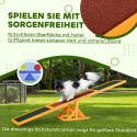 Koerte agility-kiik libisemisvastase pinnaga, kuni 50 kg, 180 × 30 × 30 cm