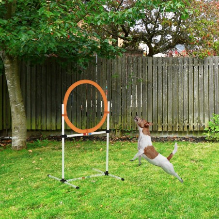 Koerte agility-hüpperõngas 2 ühes koos kandekotiga, 74,5 × 66 × 91 cm