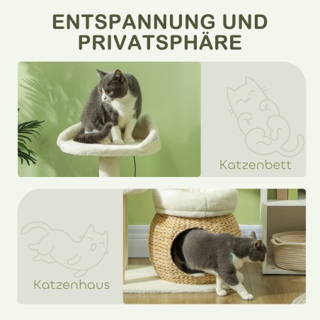 Kassipuu koopa, mängupalli ja platvormiga, kuni 10 kg, kreemvalge