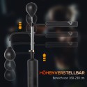 Seisev poksitreener kahe kiiruspalli ja refleksikangiga, 160–230 cm, must