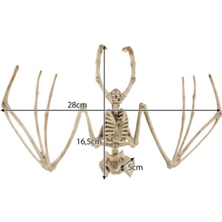 Nahkhiire skelett - kaunistus 30cm