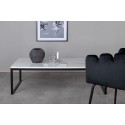 Diivanilaud Estelle 120*60*36 Valge marmor / Matt Must