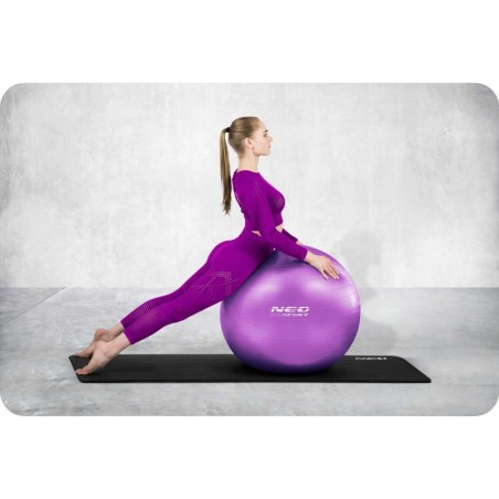 Võimlemispall 65 cm lilla