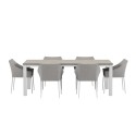 Laama laud - hall 6 Spoga tooliga - hall