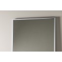Dalton Mirror 67*220 cm - Hõbe /Hõbe