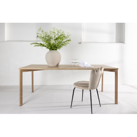 Damoni söögilaud 200*75 - Whitewash / MDF spooniga