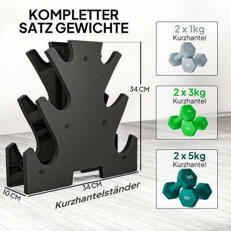 Hantlikomplekt hoiuraamiga, 6 hantlit: 2 × 1 kg, 2 × 3 kg ja 2 × 5 kg
