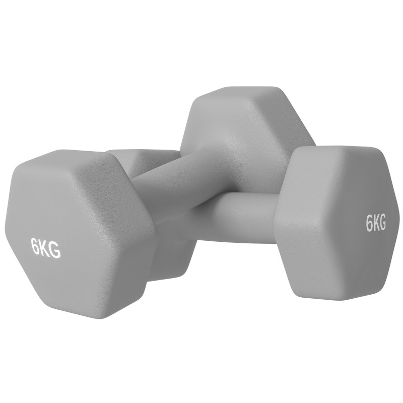 2 × 6 kg kuusnurksete libisemiskindlate hantlite komplekt, hall