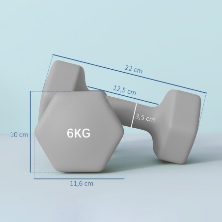 2 × 6 kg kuusnurksete libisemiskindlate hantlite komplekt, hall