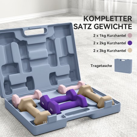 6-osaline terasest hantlikomplekt raskustega 1 kg, 2 kg ja 3 kg