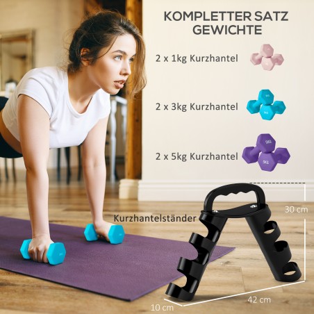 Hantlikomplekt hoiuraamiga, 6 hantlit: 2 × 1 kg, 2 × 3 kg ja 2 × 5 kg
