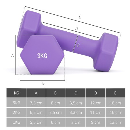 Hantlikomplekt hoiuraamiga, 6 hantlit: 2 × 1 kg, 2 × 2 kg ja 2 × 3 kg
