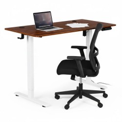 Elektriliselt reguleeritav laud 120x60 cm,...