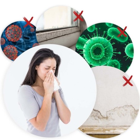 Õhukuivati - niiskuse imaja berdsen bd-529 | FreshDesign.ee