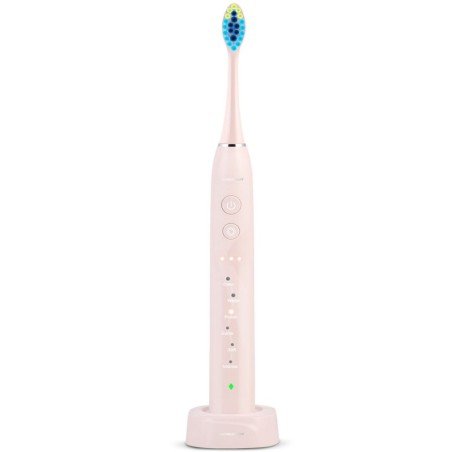 Berdseni Galaxy Pink Sonic hambahari