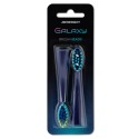 Galaxy Berdsen Sonic hambaharja pead 2 tk | FreshDesign.ee