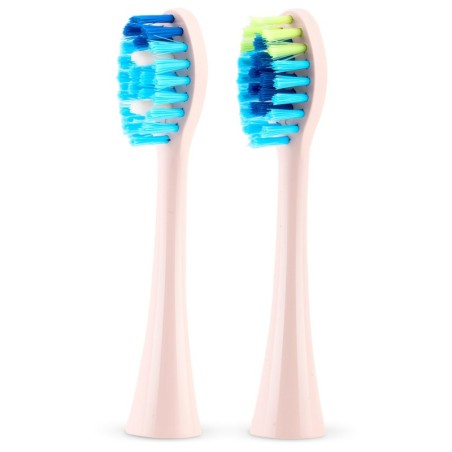 Galaxy Berdsen Sonic hambaharja pead 2 tk | FreshDesign.ee