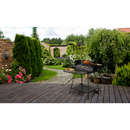 Aiagrill pöördresti ja reguleeritava restiga + kaks suurt riiulit