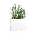 Valge ristkülikukujuline valgustusega lill... | FreshDesign.ee