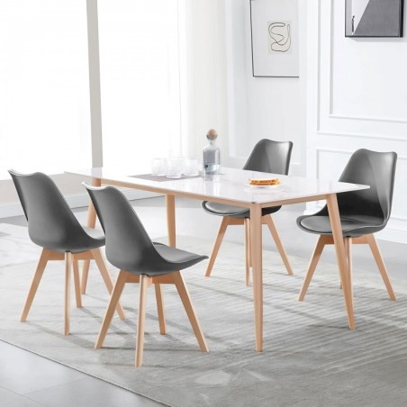 4 söögitoa tooli komplekt ökonahast pehmendusega, hall