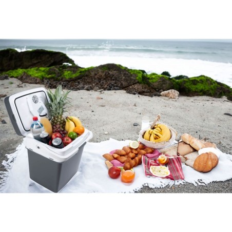 Kaasaskantav autokülmik, 29L, 220-240V DC1... | FreshDesign.ee