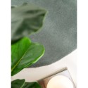 Ümmargune villane vaip Bent Green Ø 100 cm... | FreshDesign.ee