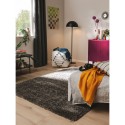 Shaggy vaip Ricky Charcoal 160x230 cm | FreshDesign.ee