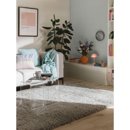 Shaggy vaip Ava Grey 300x400 cm