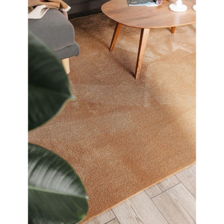 Pestav vaip Paola Brown 160x230 cm | FreshDesign.ee