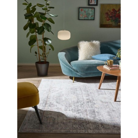 Pestav vaip Miray Grey 160x230 cm