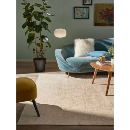 Pestav vaip Miray Beige 160x230 cm